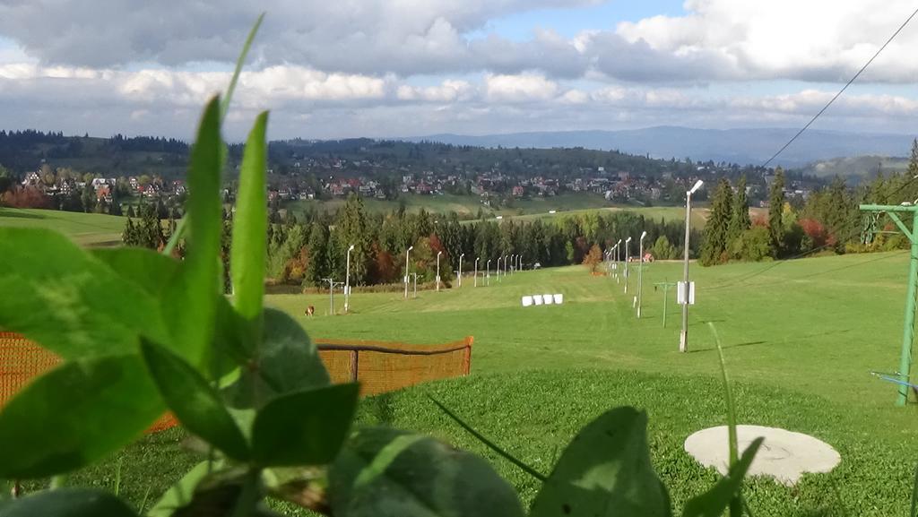 Wanta Daire Bukowina Tatrzańska Dış mekan fotoğraf